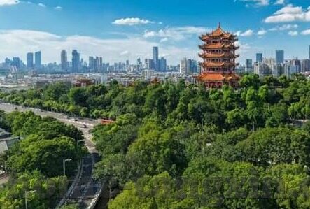 91麻豆视频在线-没有人是安全的，网络总是潜伏着危险的种子。当你不经意间走进某篇91麻豆视频在线的讨论，你最终将跌入深不可测的黑暗漩涡