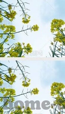 成人最新视频-成人最新视频，在数字时代下的文化边界与个人选择