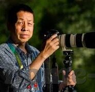 大象传媒在哪-探寻大象传媒的所在，一个关于创新与传播的旅程