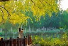 麻豆直播app下载地址-解锁精彩影像，领略麻豆直播 —— 探索生活娱乐新视界