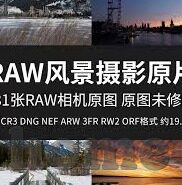 人妻嫩草-探寻人妻嫩草背后的情感与成长