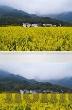 糖心vlog在哪下载-找到甜美源头，简单指南助你下载糖心vlog